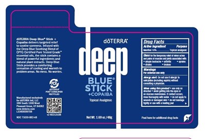 Active Ingredient (Front Panel Deep Blue Stick Leadership (1))